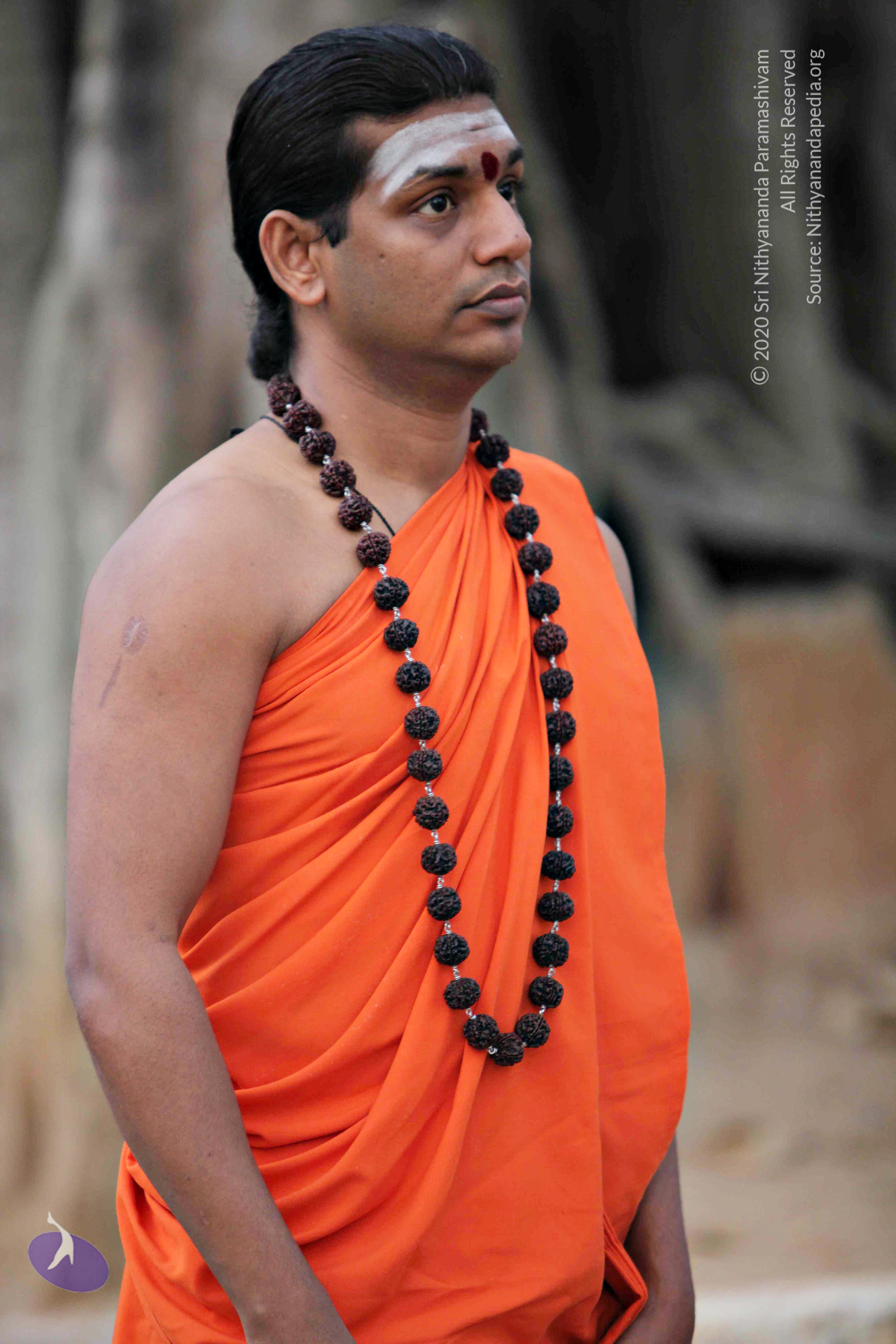 20110225_Photo_1052_IMG_0756_CMP_WM